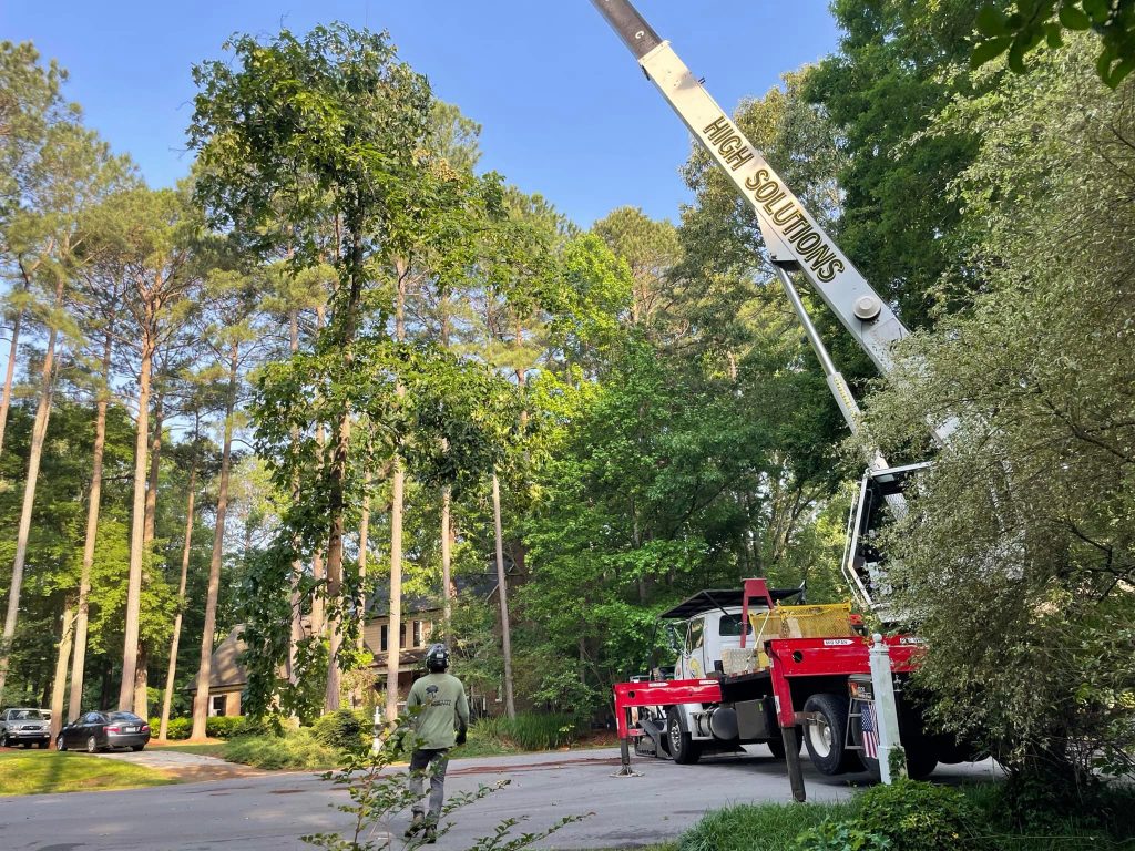Crane Assisted Tree Removal - Kenny's Tree Removal, LLC