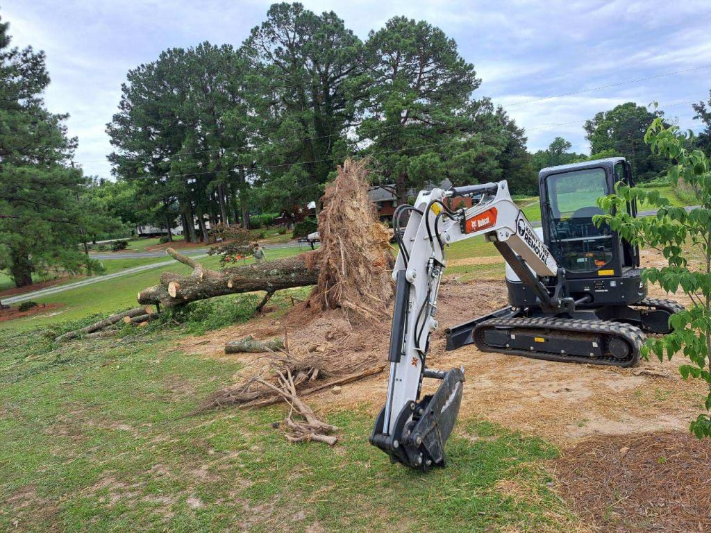 stump removal in Fuquay Varina NC