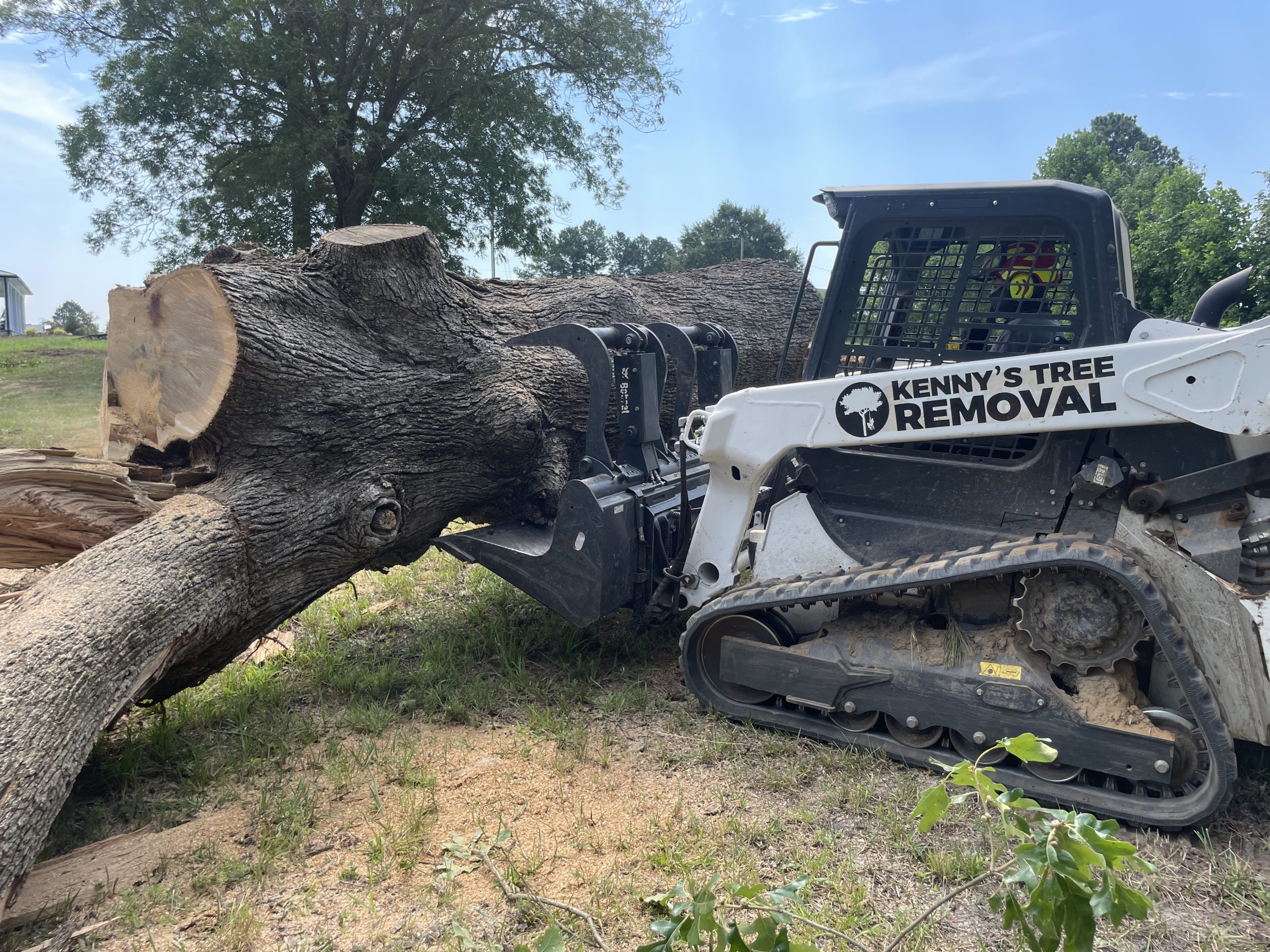 Tree removal services by Kenny's Tree Removal