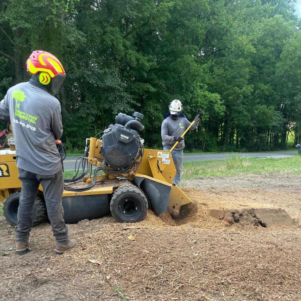 stump grinding services in Fuquay Varina