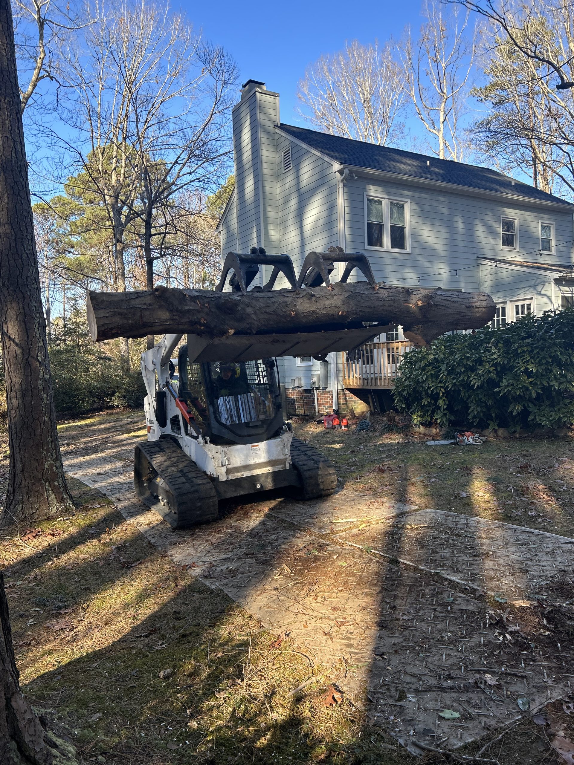Tree service work in Benson, NC