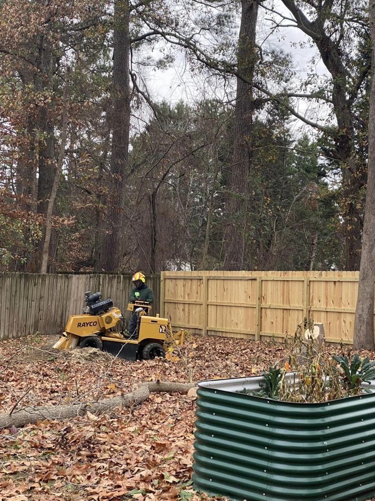 stump grinding service holly springs