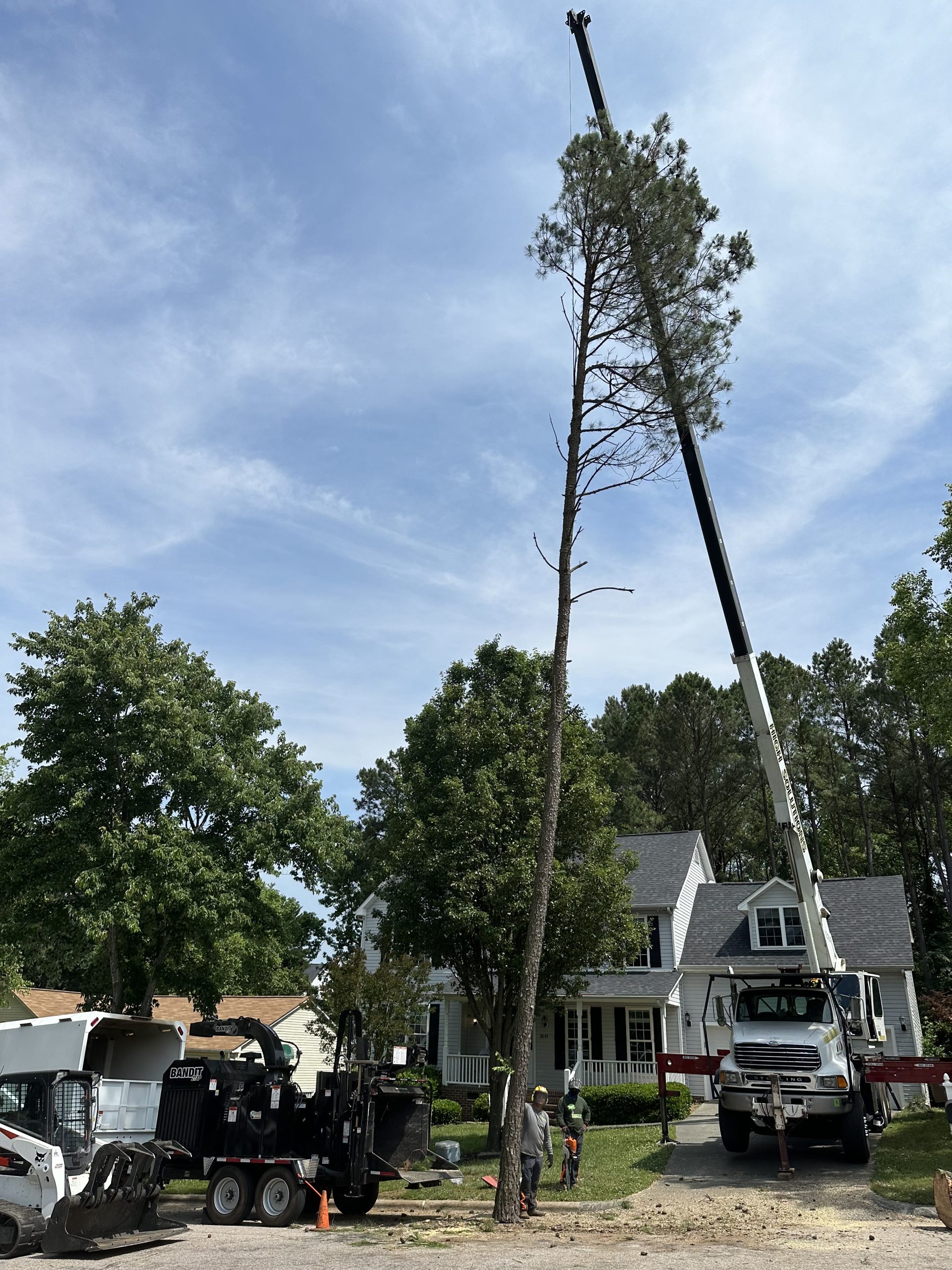 tree removal experts | Kenny's Tree Removal