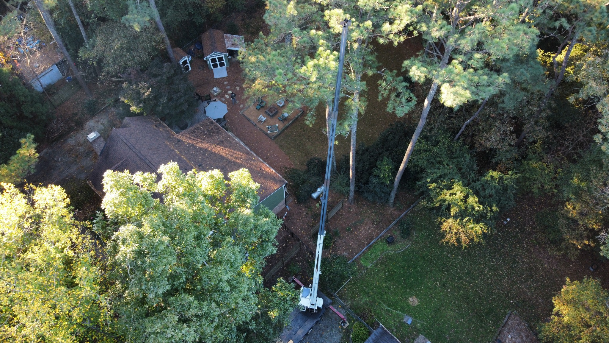 Tree Removal