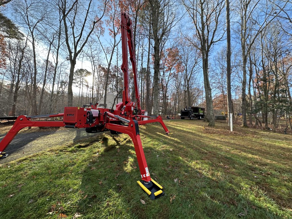 tree trimming with spider lift
