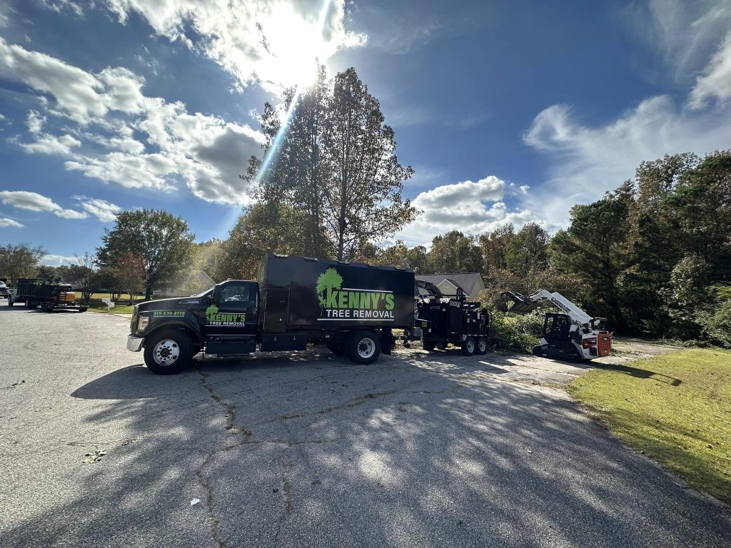 Fuquay Varina tree pruning and trimming