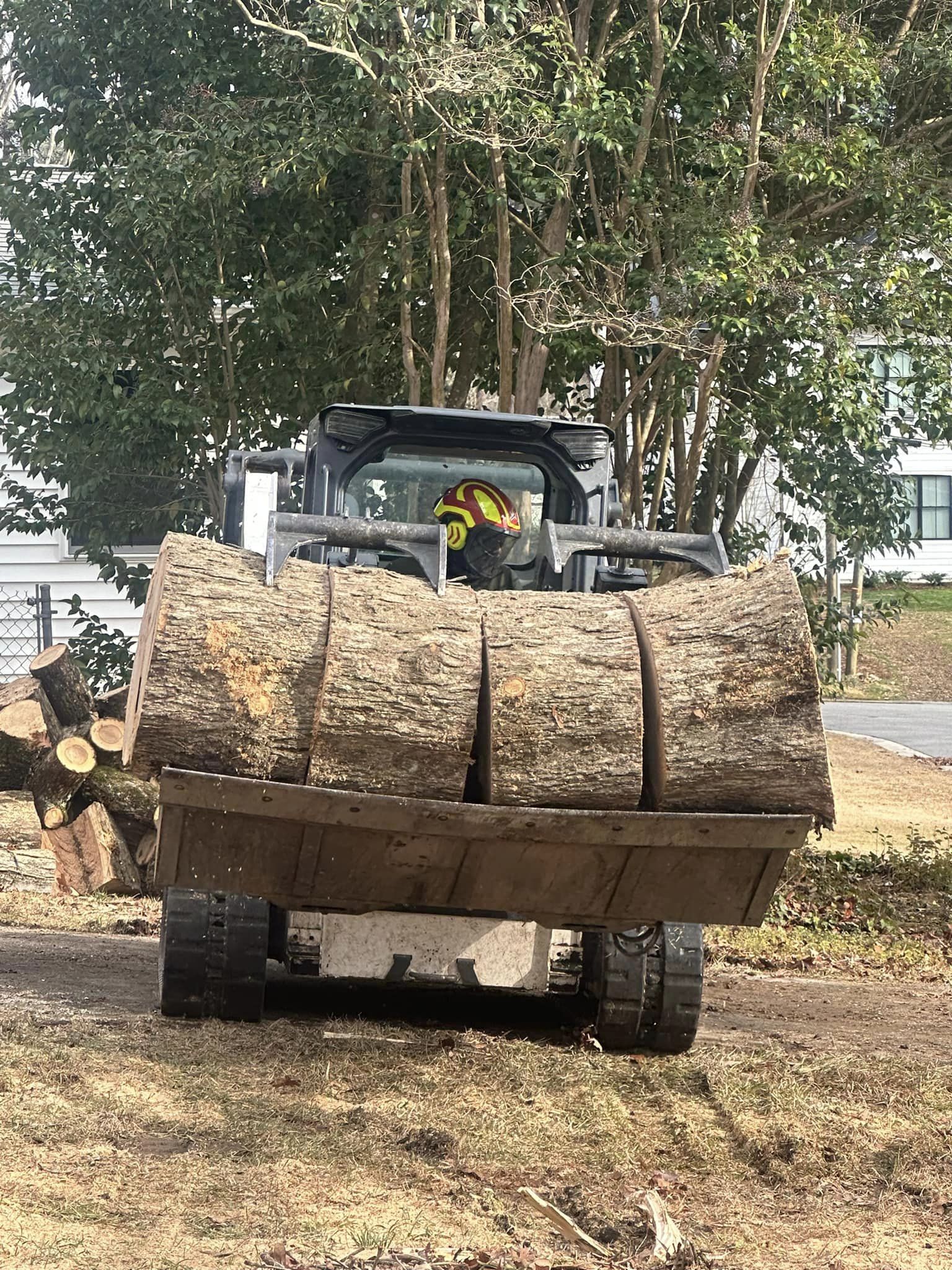 apex tree-removal