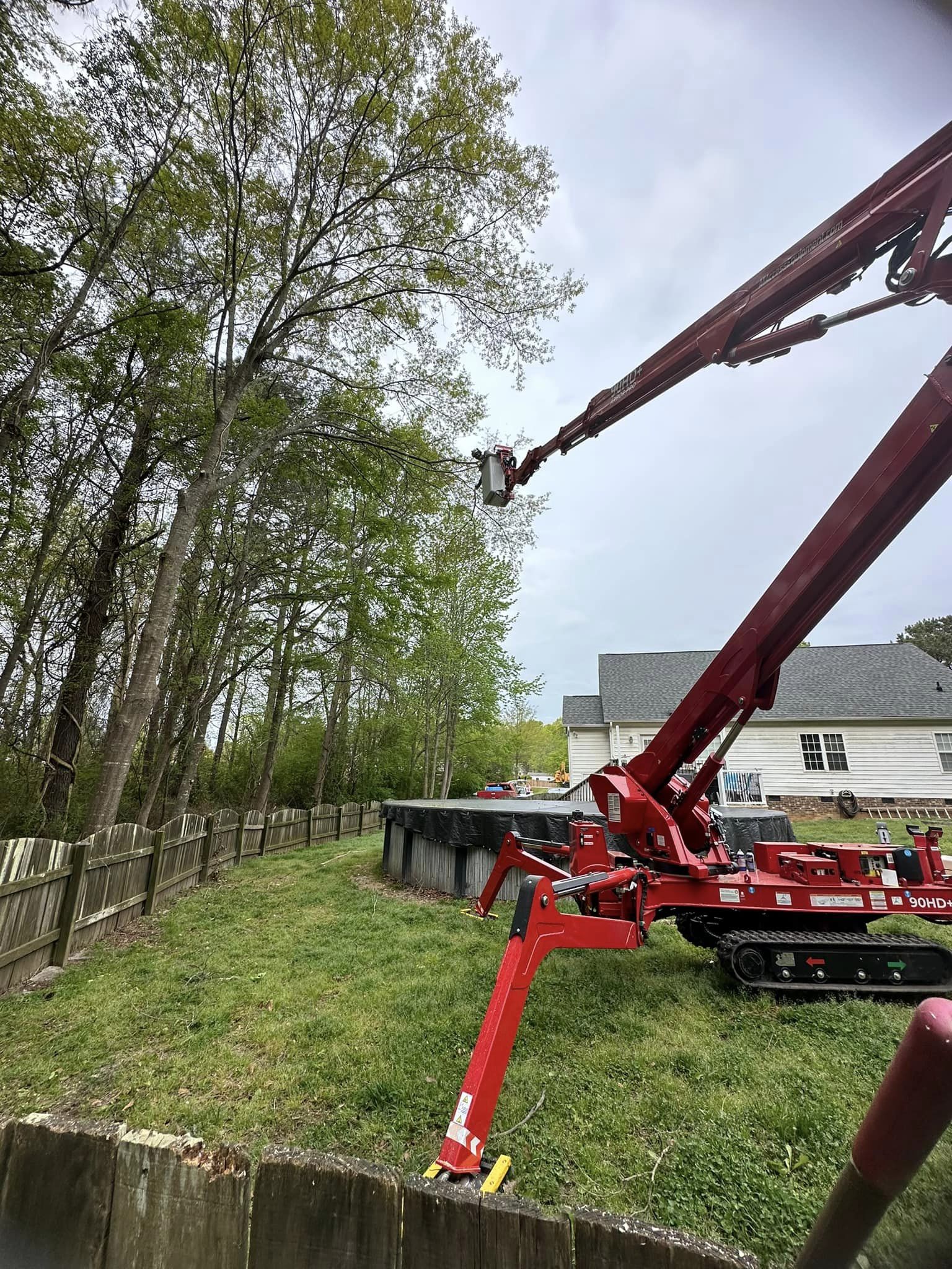 Tree service in Angier, NC