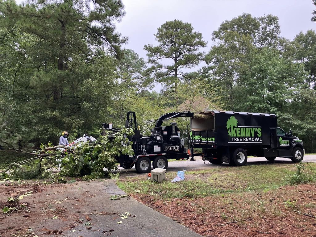 tree removal services angier nc