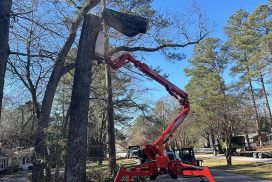 Professional tree service Fuquay Varina