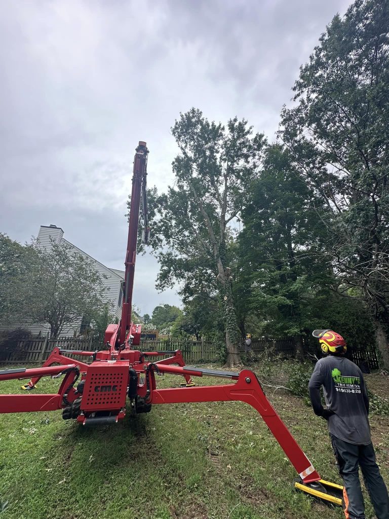 Expert tree removal service in Fuquay Varina with spider lift