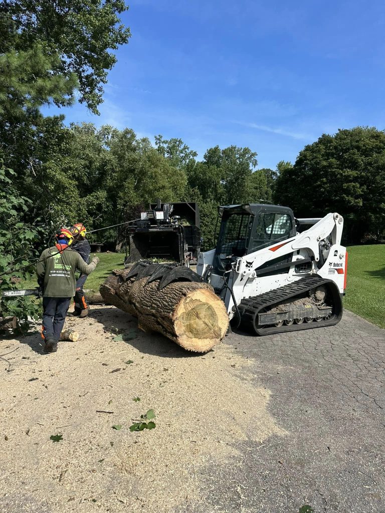 tree removal company in Fuquay Varina