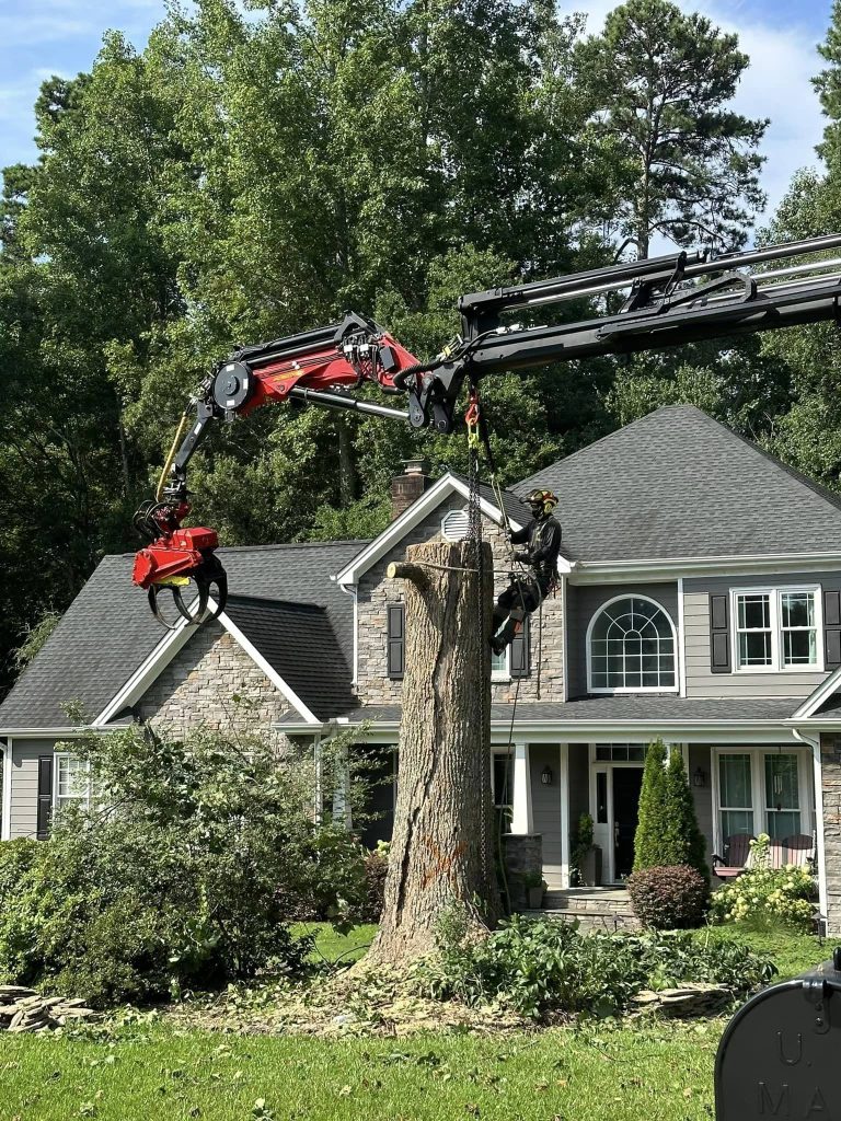 Crane-assisted tree removal in Four Oaks, NC by Kenny’s Tree Removal, safely removing large trees near structures