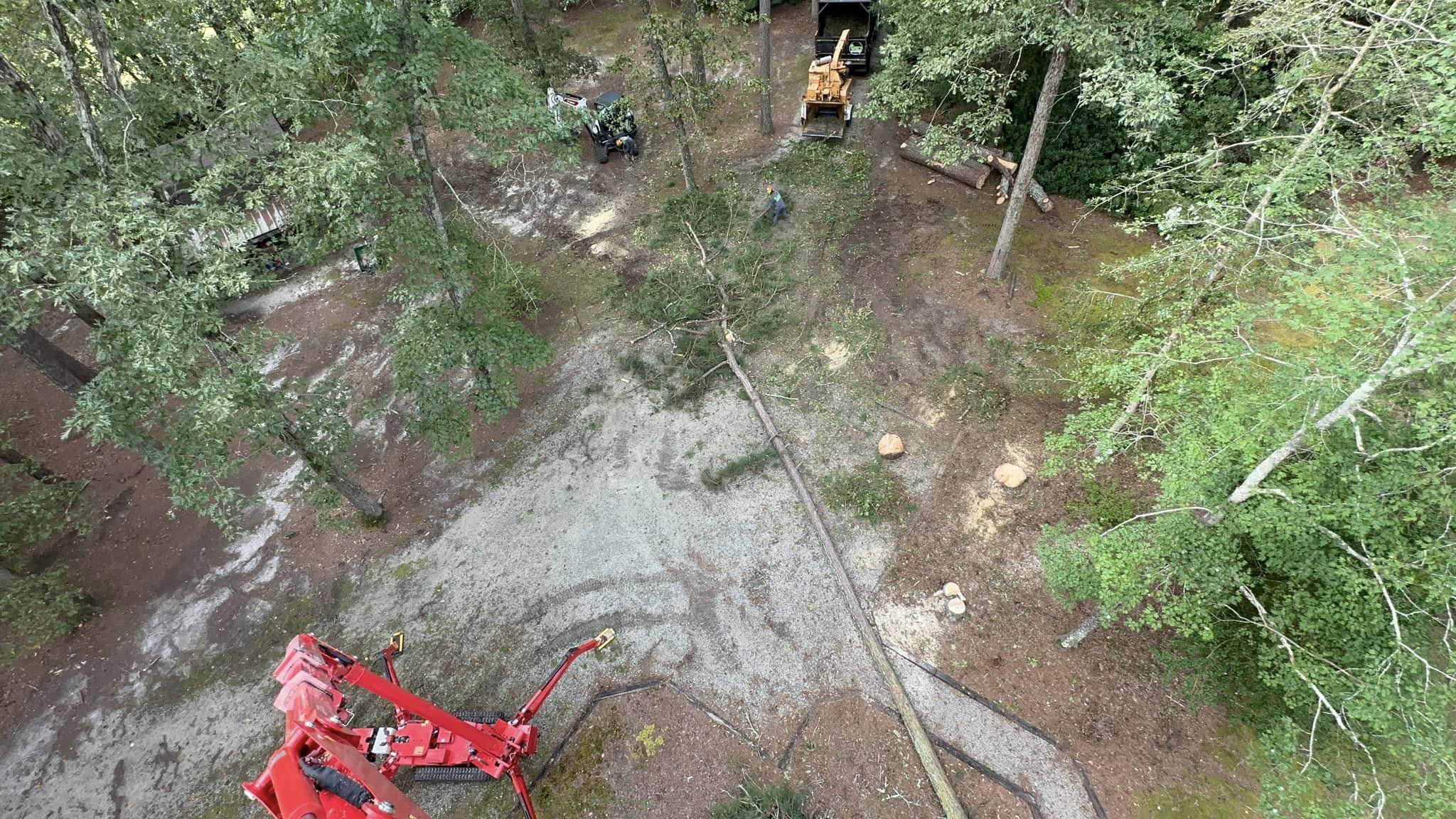 Land clearing and brush removal service in Four Oaks, NC by Kenny’s Tree Removal, preparing property for development