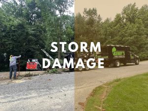 Storm Damage Service