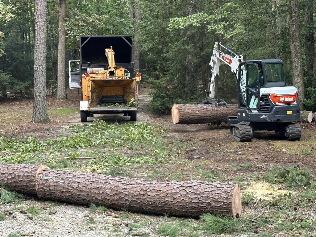 Professional tree removal service in Benson, NC by Kenny’s Tree Removal, removing a large tree near a building