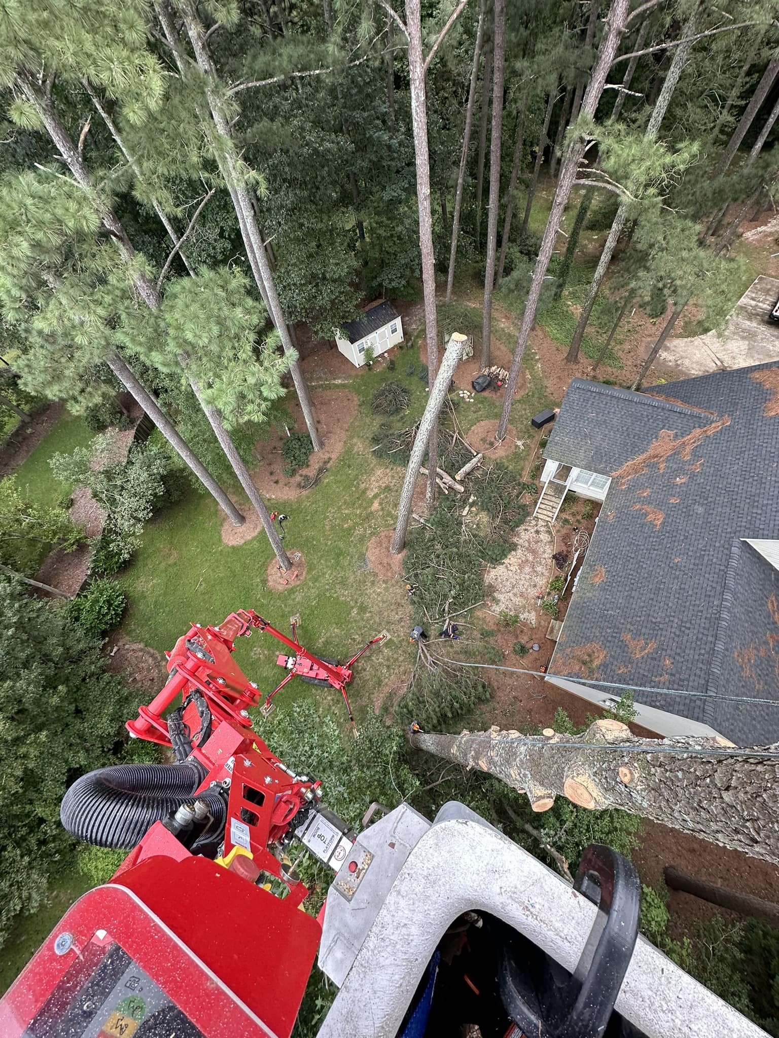 Storm damage insurance tree claim clearing in Four Oaks