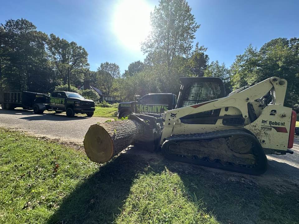 Willow Spring, NC Tree Service