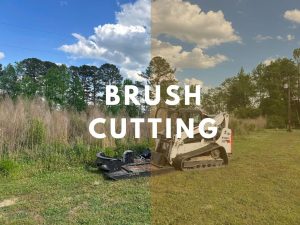 brush cutting