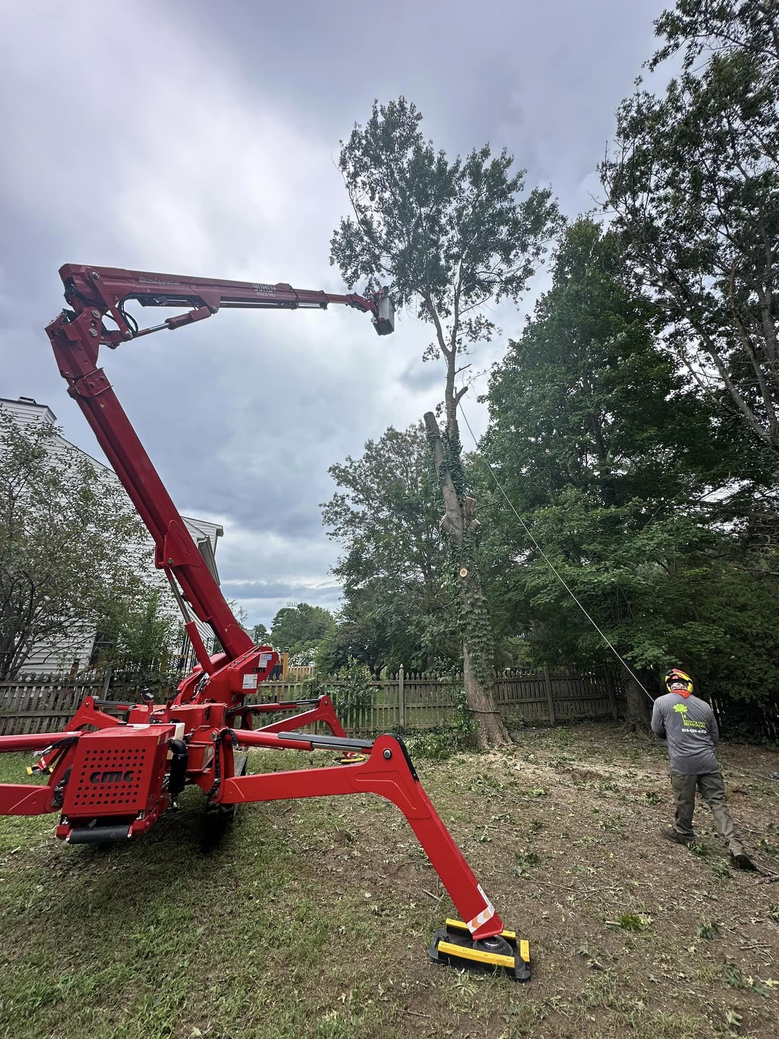 Kenny’s Tree Removal crew performing tree work in Lillington, NC