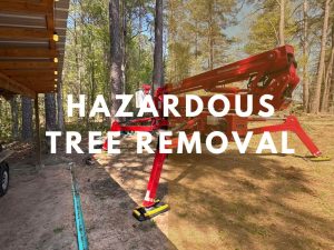 hazardous tree removal