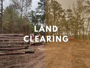 land clearing