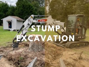 stump excavation