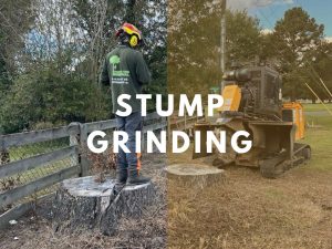 stump grinding