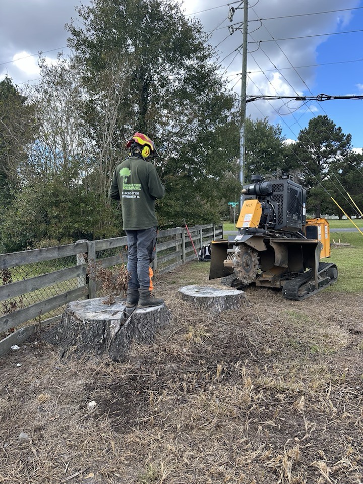 Stump grinding service in Raleigh NC by Kenny's Tree Removal, removing tree stumps for a clean and safe yard.