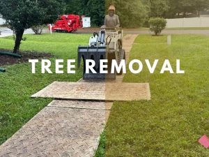 tree removal