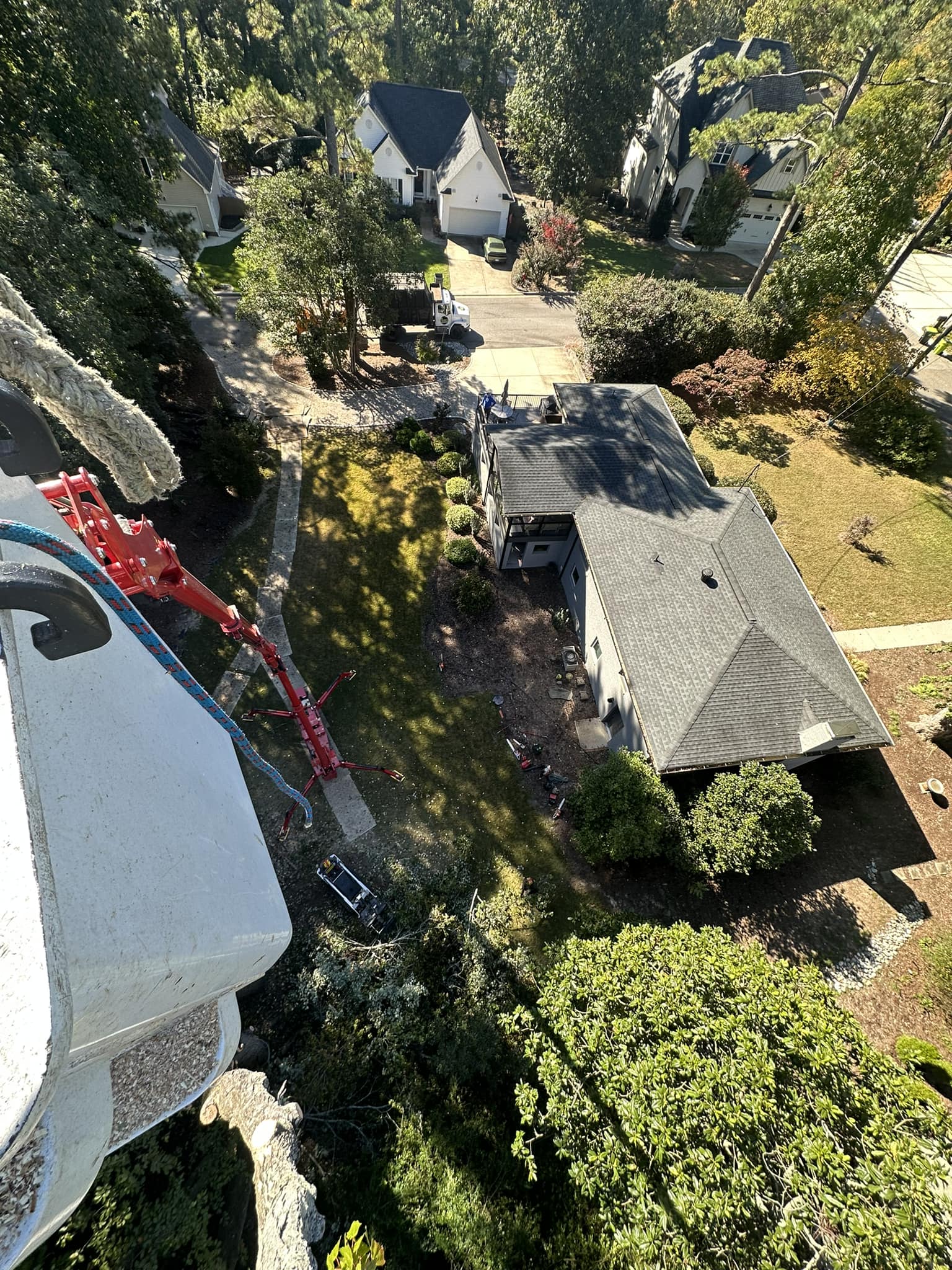 Large tree removal by Kenny's Tree Removal in Lillington, NC