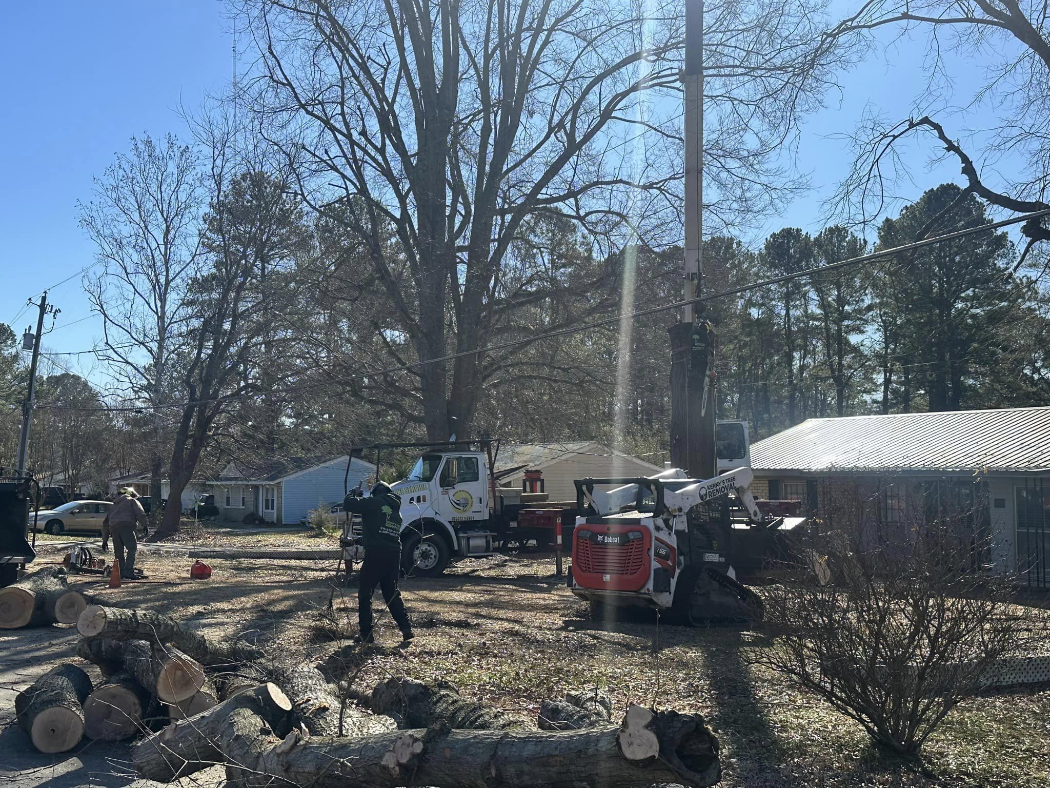 Tree service company working in Holly Springs, NC
