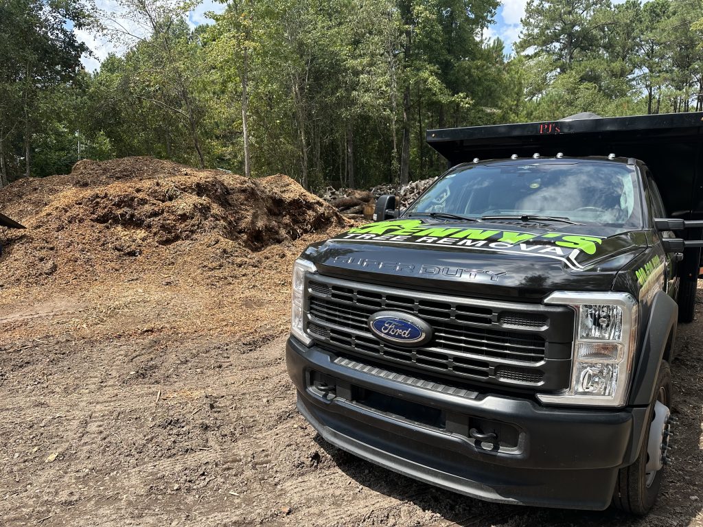 WOOD CHIPS FOR SALE BY KENNY'S TREE REMOVAL