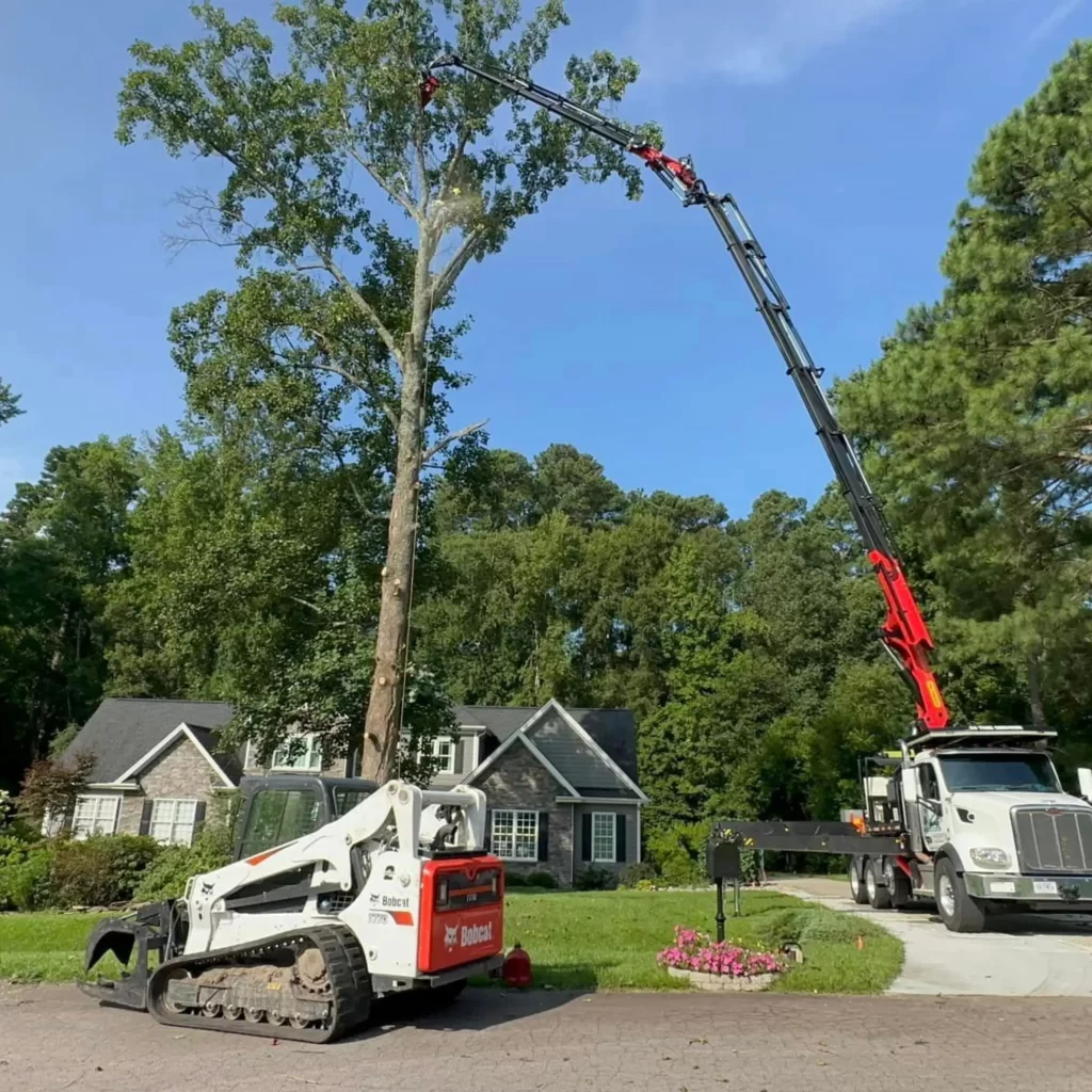 Remote Control Tree Removal