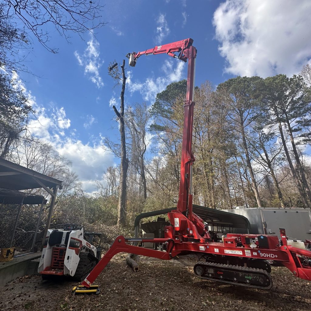 Kenny's Tree Removal removing trees in Fuquay Varina