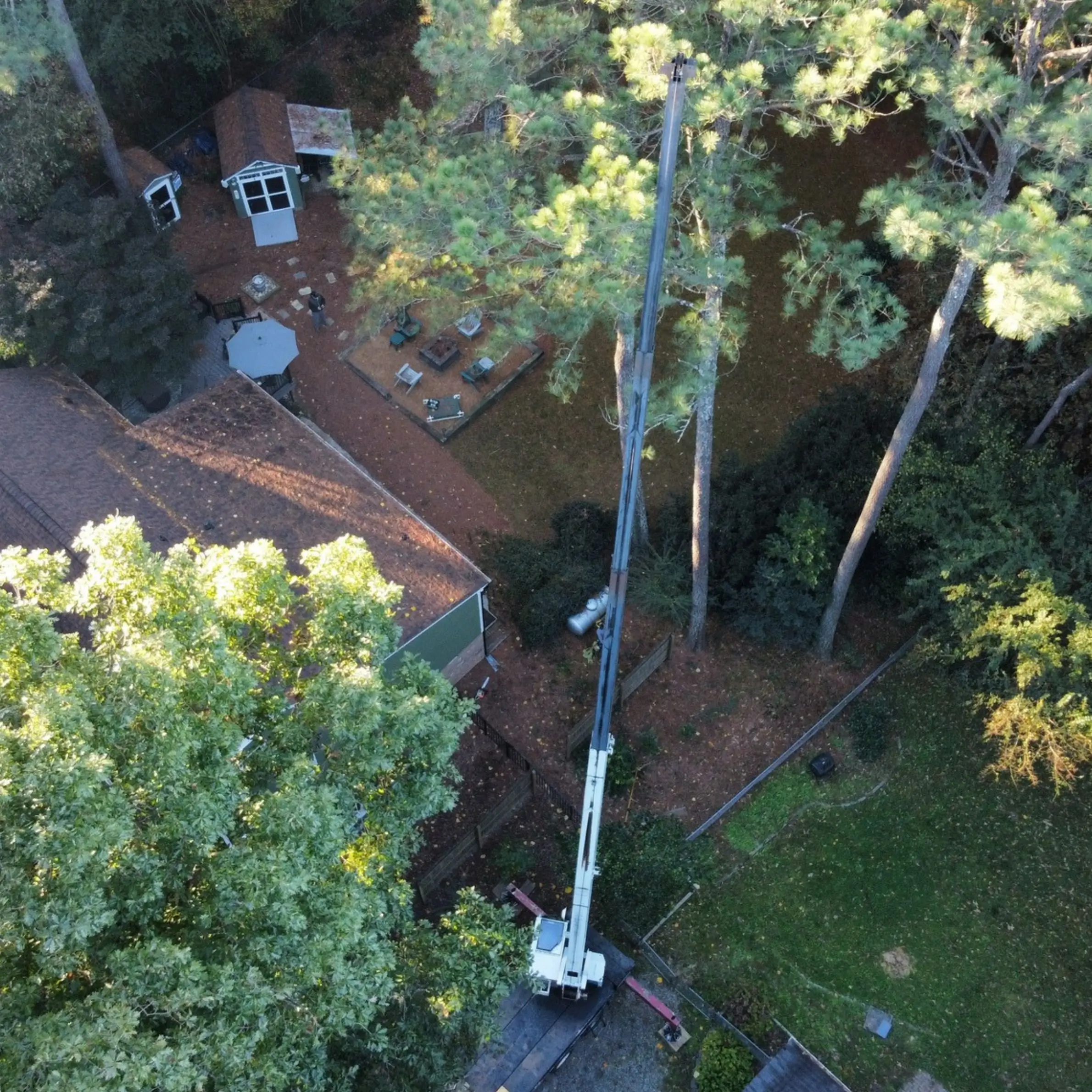 Heavy crane-assisted tree removal dealing with severe structural storm damage