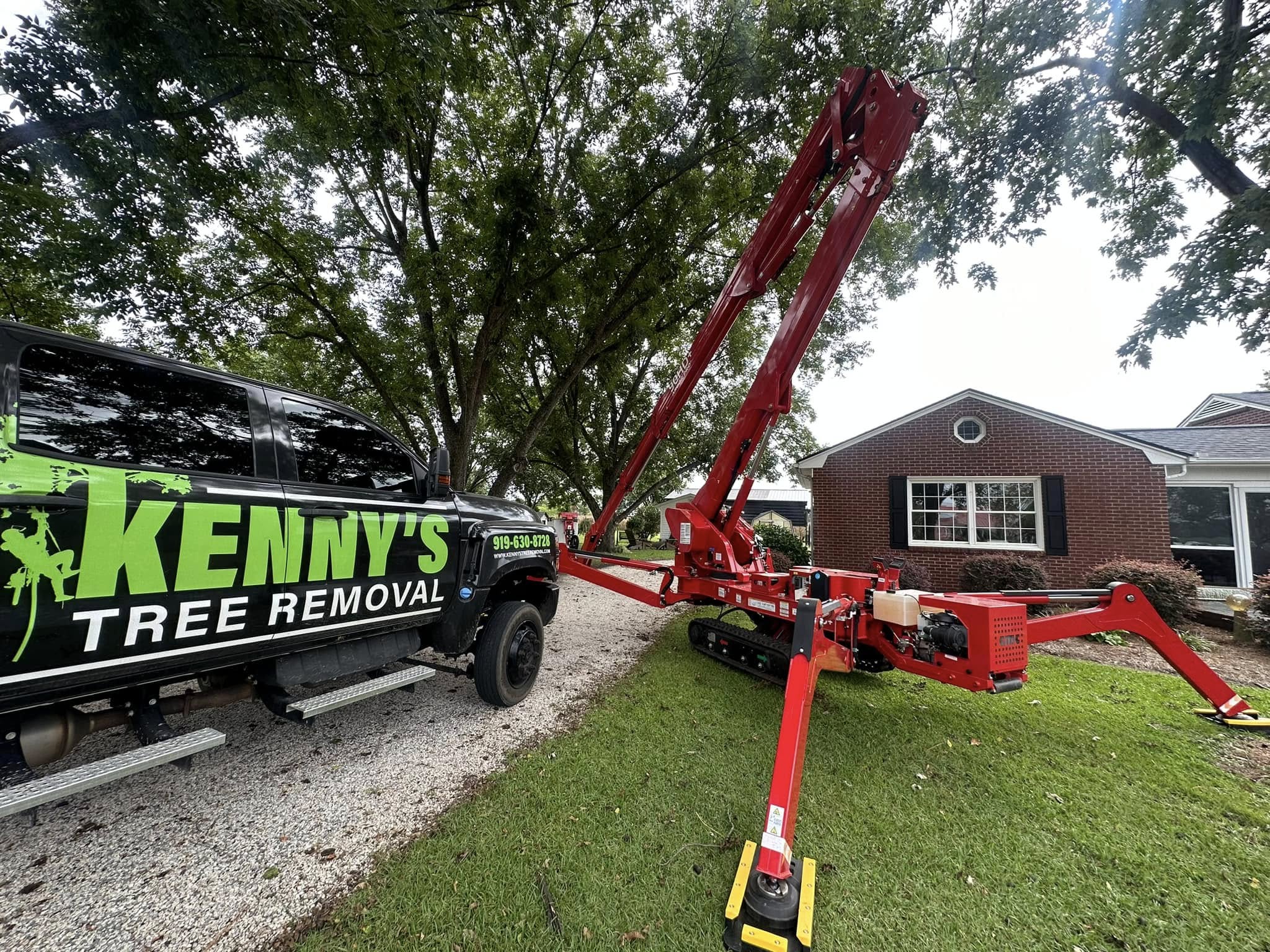 Tree trimming and tree service in Willow Spring, NC