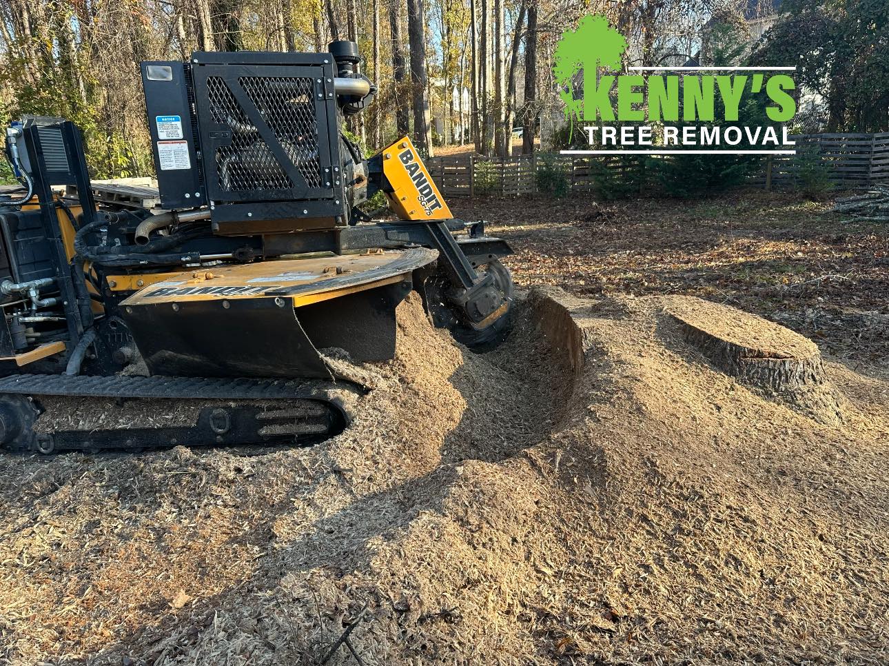 Stump grinding service in Willow Spring, NC