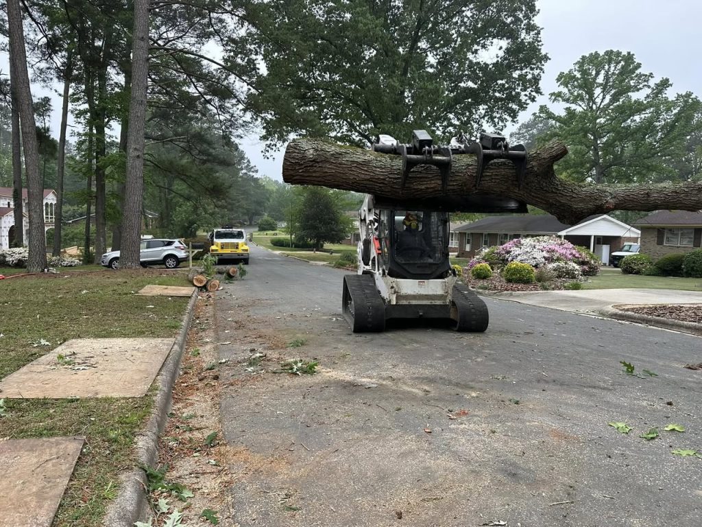 A tree being safely removed from a residential property in Apex, NC by Kenny's Tree Removal certified arborists.