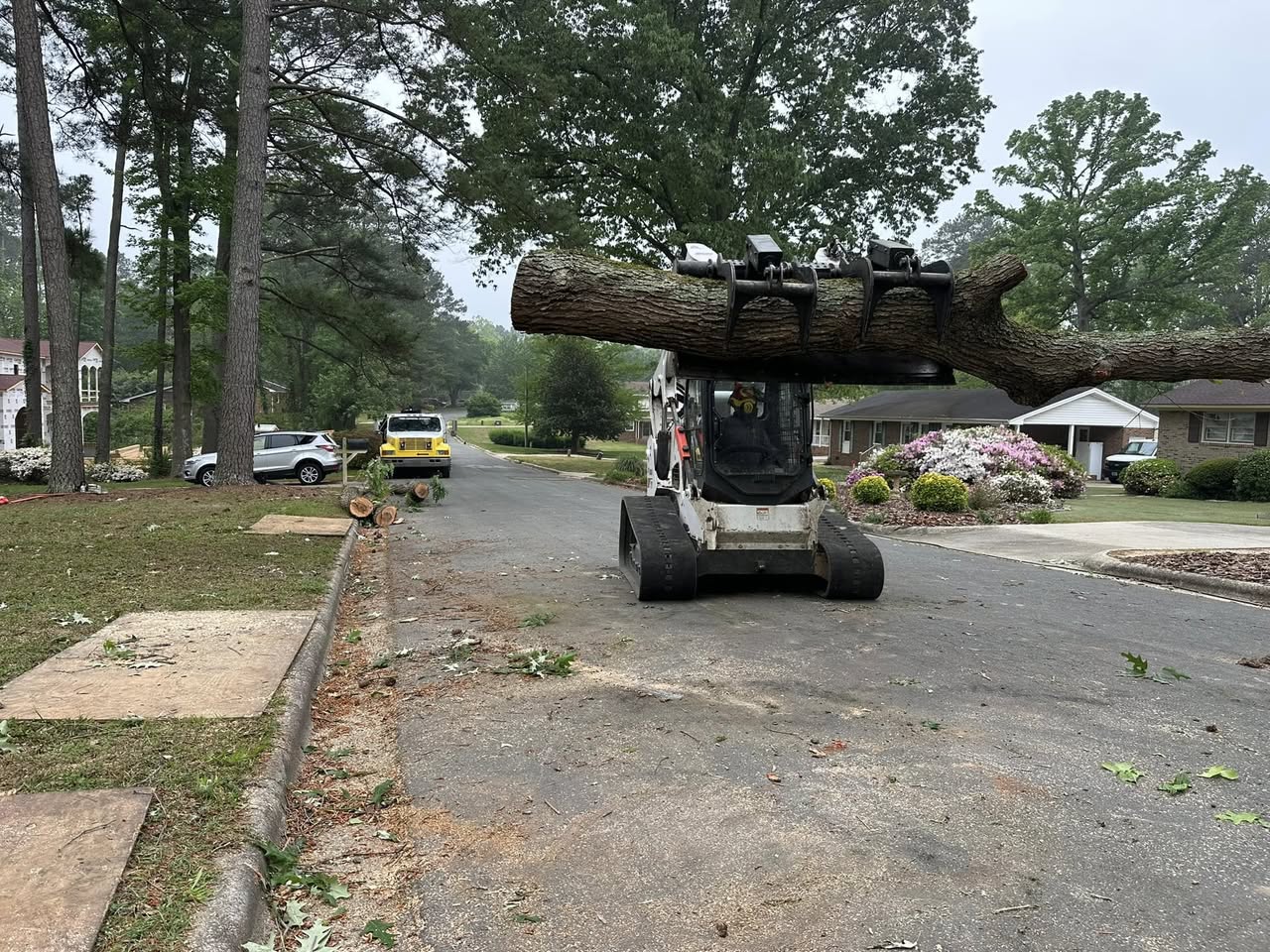 Tree Service & Removal | Apex, NC | Kenny's Tree Removal