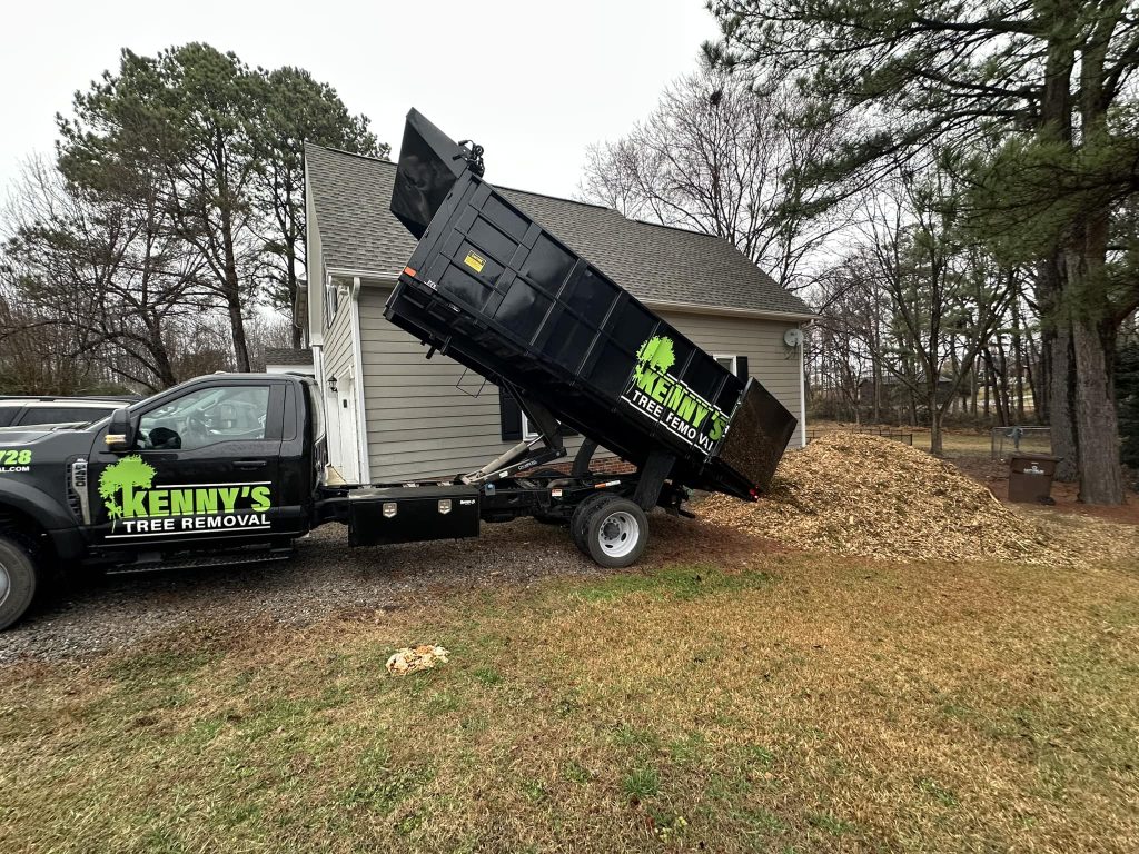 Kenny's Tree Removal performing professional tree service in Holly Springs, NC.