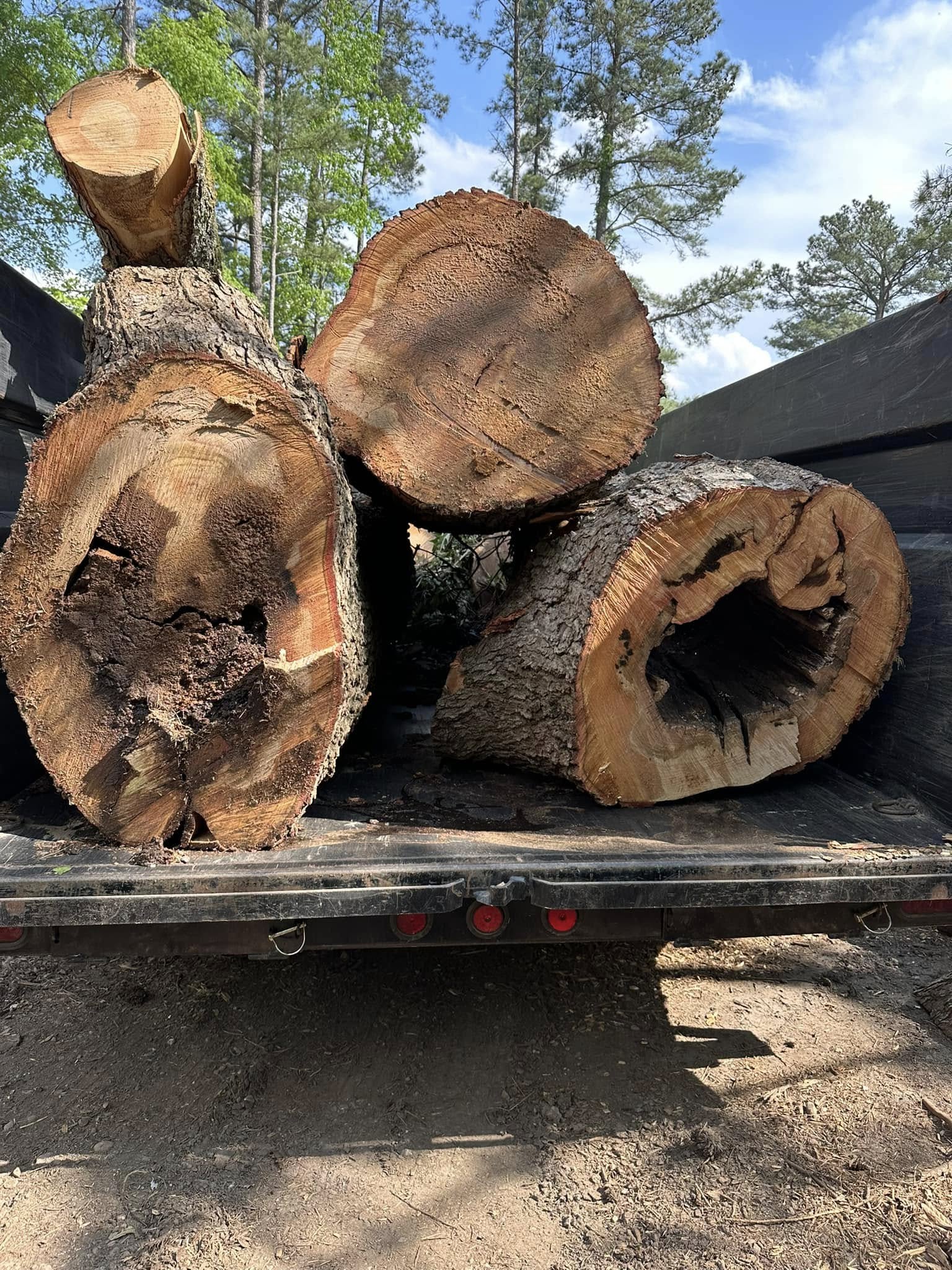 Tree service cleanup and equipment staged on a job site near Benson, NC