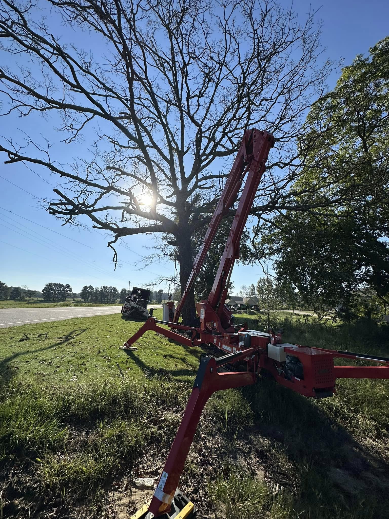 Hazardous tree removal by Kenny's Tree Removal in Fuquay-Varina