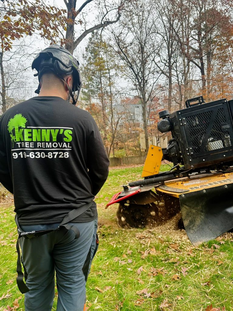 Tree stump remaining after tree removal in Garner, NC