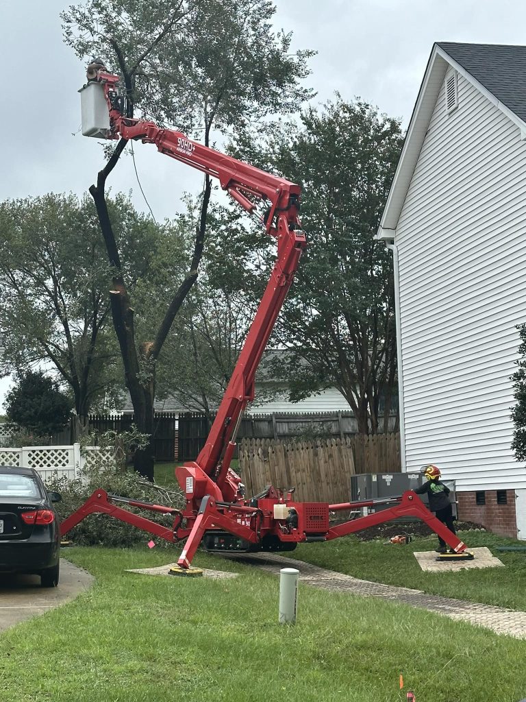 Tree trimming in Fuquay Varina NC by Kenny's Tree Removal