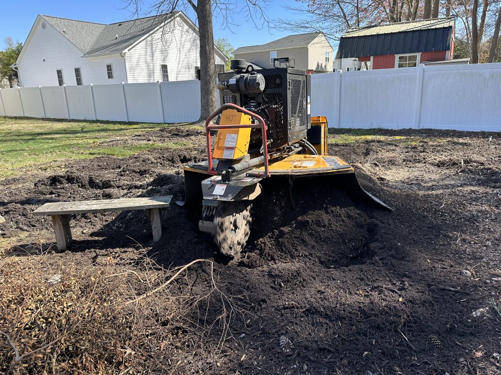 Exposed roots ground for a smooth finish in Angier