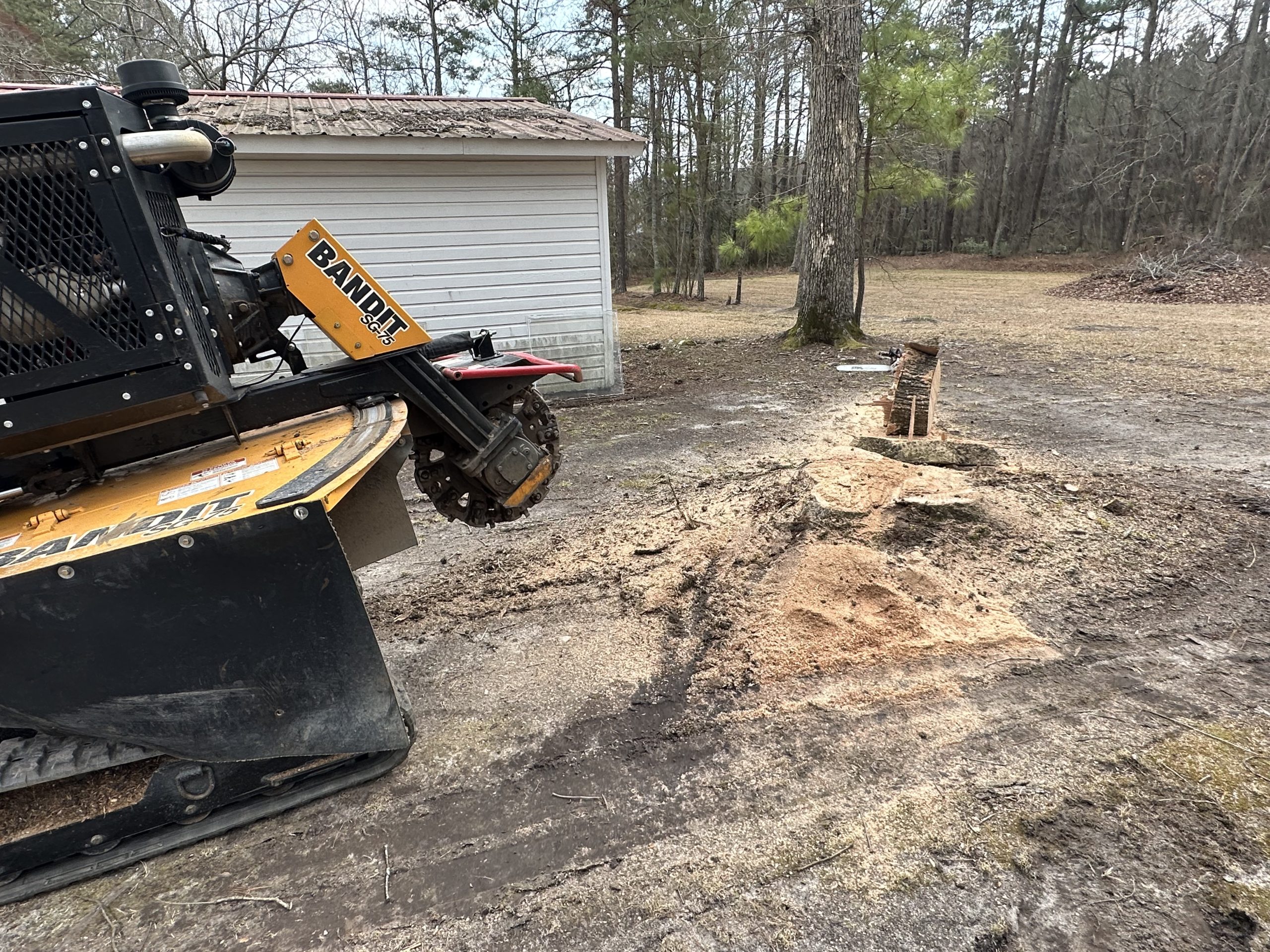 Stump grinding service in Angier, NC