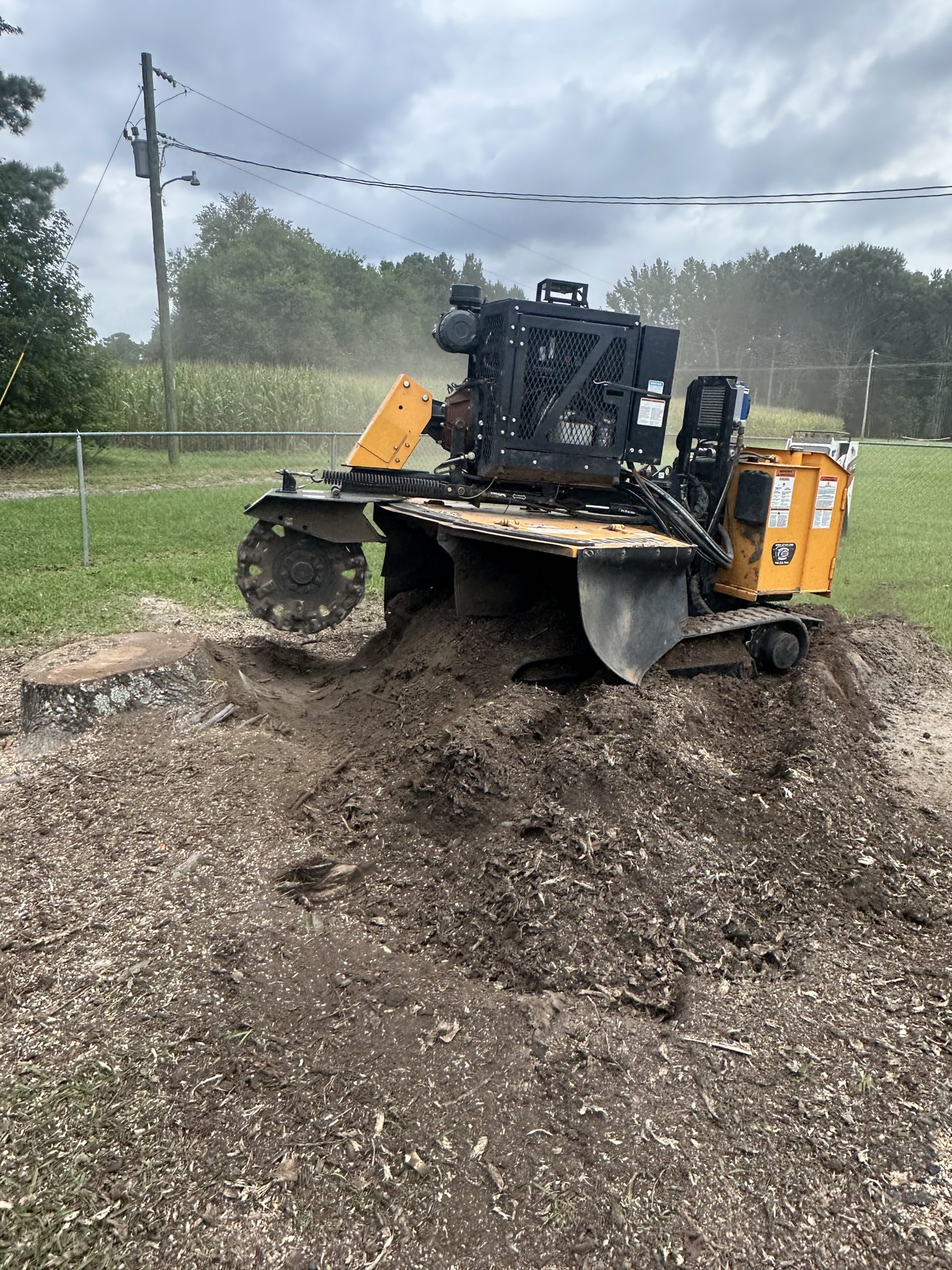 Stump grinding in Fuquay Varina NC by Kenny’s Tree Removal