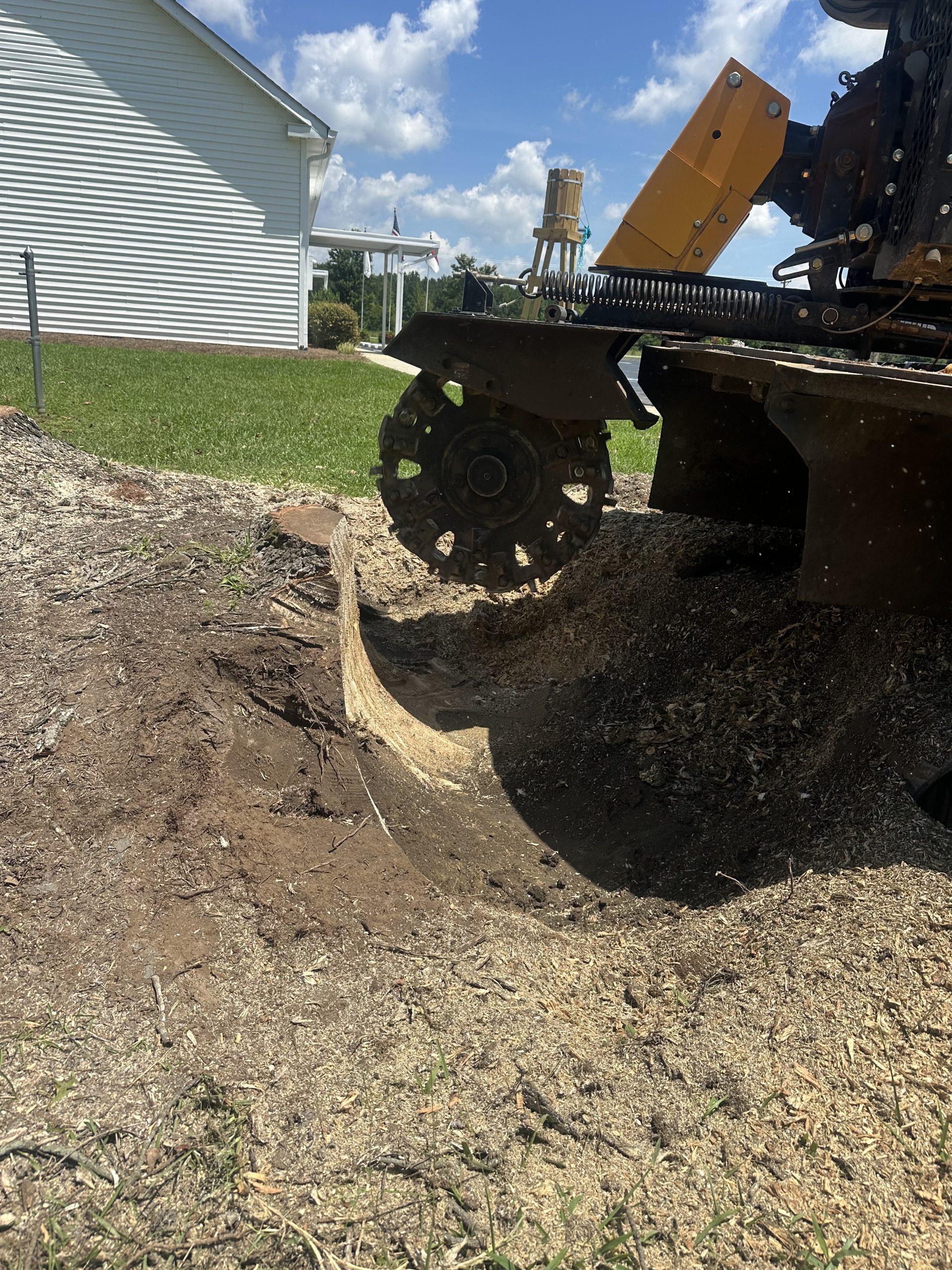 Stump grinding services in Dunn, NC