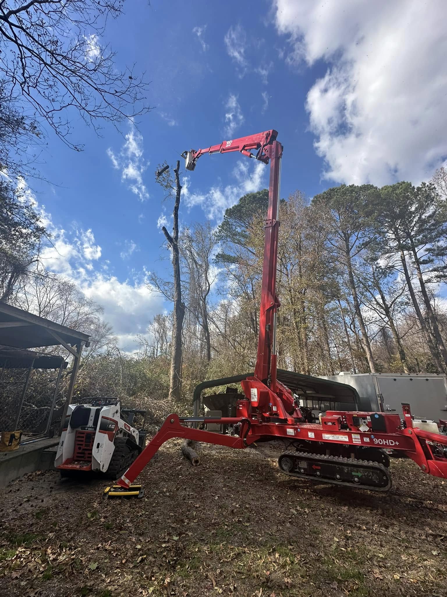 Tree service by Kenny’s Tree Removal in Fuquay-Varina